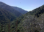 IMG_20100814_105558.jpg: 2592x1936, 1771k (August 14, 2010, at 04:55 PM)