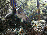 IMG_20100814_111556.jpg: 2592x1936, 2014k (August 14, 2010, at 05:15 PM)