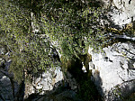 IMG_20100814_124436.jpg: 2592x1936, 2051k (August 14, 2010, at 06:44 PM)