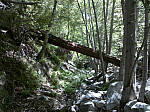 IMG_20100905_121427.jpg: 2592x1936, 2200k (September 05, 2010, at 06:14 PM)
