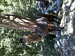 IMG_20100905_121632.jpg: 2592x1936, 2095k (September 05, 2010, at 06:16 PM)