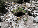 IMG_20100905_131935.jpg: 2592x1936, 2134k (September 05, 2010, at 07:19 PM)