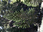 IMG_20100905_141203.jpg: 2592x1936, 1989k (September 05, 2010, at 08:12 PM)
