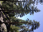 IMG_20100905_154107.jpg: 2592x1936, 1990k (September 05, 2010, at 09:41 PM)