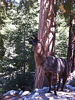 hike-013.jpg: 1936x2592, 2686k (September 07, 2010, at 12:55 AM)