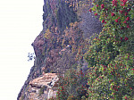 2011-01-05_10-03-47.jpg: 2592x1936, 2161k (January 05, 2011, at 06:03 PM)