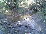 IMG_20110105_090824.jpg: 2592x1944, 1241k (January 05, 2011, at 05:08 PM)