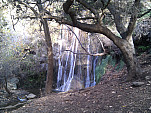 IMG_20110105_092617.jpg: 2592x1944, 1398k (January 05, 2011, at 05:26 PM)