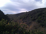 IMG_20110105_093722.jpg: 2592x1944, 845k (January 05, 2011, at 05:37 PM)