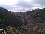 IMG_20110105_094153.jpg: 2592x1944, 869k (January 05, 2011, at 05:41 PM)