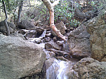 IMG_20110105_095047.jpg: 2592x1944, 1081k (January 05, 2011, at 05:50 PM)