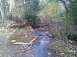 IMG_20110105_112346.jpg: 2592x1944, 1726k (January 05, 2011, at 07:23 PM)