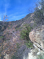 IMG_20110105_093857.jpg: 1944x2592, 1790k (January 05, 2011, at 05:38 PM)