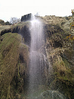 IMG_20110105_101601.jpg: 1944x2592, 1203k (January 05, 2011, at 06:16 PM)