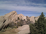 IMG_20110115_124442.jpg: 2592x1944, 1105k (January 15, 2011, at 08:44 PM)