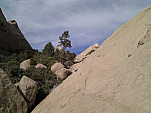 IMG_20110115_130919.jpg: 2592x1944, 870k (January 15, 2011, at 09:09 PM)