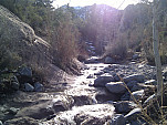 IMG_20110115_134741.jpg: 2592x1944, 1257k (January 15, 2011, at 09:47 PM)