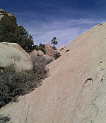 stitch4.png: 1581x1836, 4894k (January 19, 2011, at 02:22 AM)