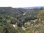 IMG_20110226_113353.jpg: 2592x1944, 1228k (February 26, 2011, at 07:33 PM)