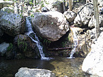 IMG_20110312_125048.jpg: 2592x1944, 1185k (March 12, 2011, at 08:50 PM)