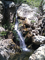 IMG_20110312_124442.jpg: 1944x2592, 1584k (March 12, 2011, at 08:44 PM)