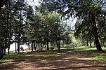 DSC02381.jpg: 1024x680, 384k (March 16, 2011, at 05:19 PM)