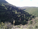 IMG_20110420_091031.jpg: 2592x1944, 1163k (April 20, 2011, at 03:10 PM)