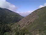 IMG_20110420_100821.jpg: 2592x1944, 887k (April 20, 2011, at 04:08 PM)