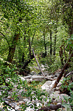 DSC_0111.jpg: 2000x3008, 3757k (April 20, 2011, at 11:26 PM)