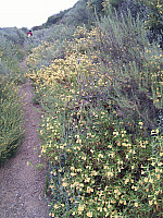 IMG_20110508_142527.jpg: 1944x2592, 1916k (May 08, 2011, at 08:25 PM) IMG_20110508_142527.jpg: 1944x2592, 1916k (May 08, 2011, at 08:25 PM)