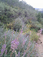 IMG_20110508_143012.jpg: 1944x2592, 1719k (May 08, 2011, at 08:30 PM) IMG_20110508_143012.jpg: 1944x2592, 1719k (May 08, 2011, at 08:30 PM)