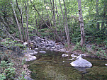 IMG_20110514_073934.jpg: 2592x1944, 1136k (May 14, 2011, at 01:39 PM)