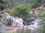 IMG_20110514_074625.jpg: 2592x1944, 1402k (May 14, 2011, at 01:46 PM)