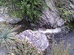 IMG_20110514_074715.jpg: 2592x1944, 1273k (May 14, 2011, at 01:47 PM)