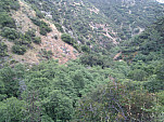 IMG_20110514_075918.jpg: 2592x1944, 1048k (May 14, 2011, at 01:59 PM)