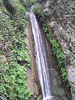 IMG_20110514_091357.jpg: 1944x2592, 1646k (May 14, 2011, at 03:13 PM)