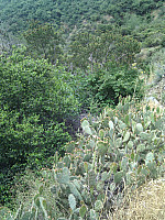 IMG_20110514_094351.jpg: 1944x2592, 1817k (May 14, 2011, at 03:43 PM)