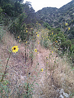 IMG_20110514_100312.jpg: 1944x2592, 1750k (May 14, 2011, at 04:03 PM)