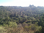 IMG_20110622_171232.jpg: 2592x1944, 1356k (June 22, 2011, at 11:12 PM)