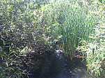 IMG_20110623_152910.jpg: 2592x1944, 1873k (June 23, 2011, at 09:29 PM)