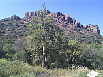 IMG_20110623_154610.jpg: 2592x1944, 1640k (June 23, 2011, at 09:46 PM)