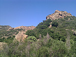 IMG_20110623_160325.jpg: 2592x1944, 1390k (June 23, 2011, at 10:03 PM)