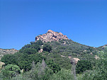IMG_20110623_160336.jpg: 2592x1944, 1220k (June 23, 2011, at 10:03 PM)