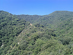 IMG_20110625_095552.jpg: 2592x1944, 1280k (June 25, 2011, at 03:55 PM)