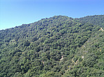 IMG_20110625_095556.jpg: 2592x1944, 1235k (June 25, 2011, at 03:55 PM)