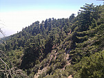 IMG_20110625_143430.jpg: 2592x1944, 1375k (June 25, 2011, at 08:34 PM)