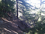 IMG_20110625_144807.jpg: 2592x1944, 1349k (June 25, 2011, at 08:48 PM)