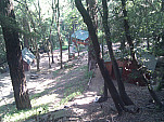 IMG_20110625_162513.jpg: 2592x1944, 1463k (June 25, 2011, at 10:25 PM)