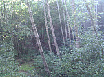 IMG_20110625_165851.jpg: 2592x1944, 1101k (June 25, 2011, at 10:58 PM)
