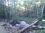 IMG_20110625_182103.jpg: 2592x1944, 1105k (June 26, 2011, at 12:21 AM)